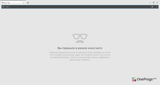 Amigo — Режим инкогнито
