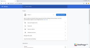 Chromium — Настройки программы