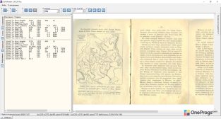 Djvu Reader — Информация о страницах