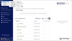 Dropbox — Меню программы
