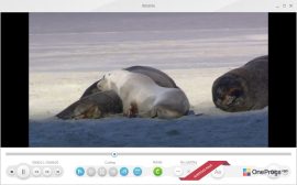 Freemake Video Converter — Редактирование видео
