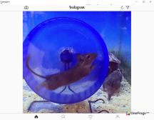 Instagram — Интерфейс программы