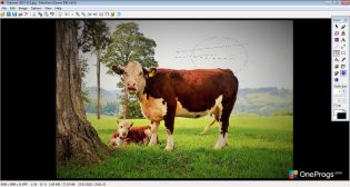 IrfanView — Редактирование изображения