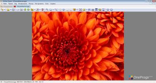 XnView — Просмотр изображения