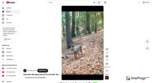 YouTube — Просмотр Shorts